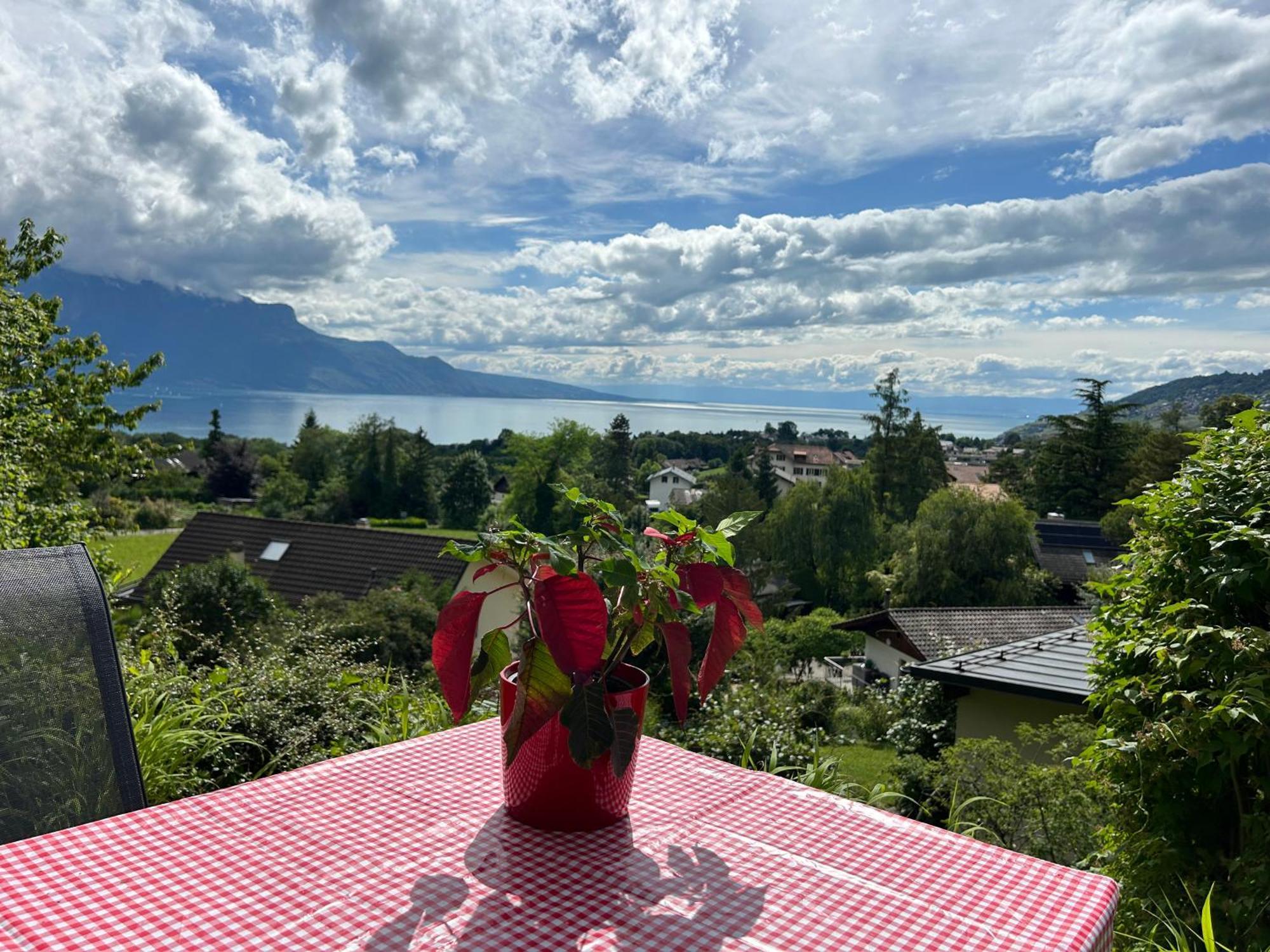 L'appart Riviera Vue Panoramique Saint-Legier-La Chiesaz